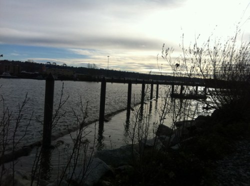 Qborough waterfront-blog