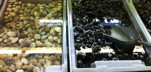 mussels&clams-blog