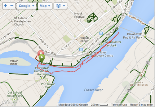 Boxing Day river run