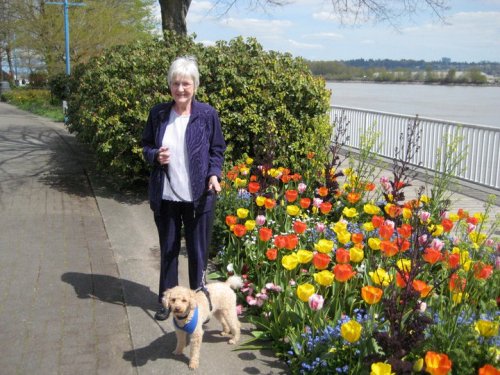 267523_109646229129366_4544890_n